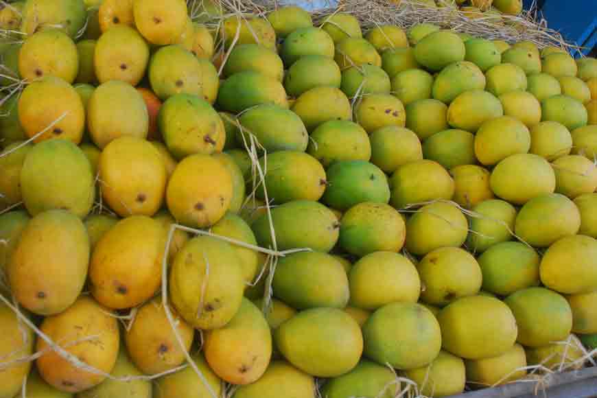 Laxmanbhog Mango: The Royal Treat of Bengal’s Mango Dynasty