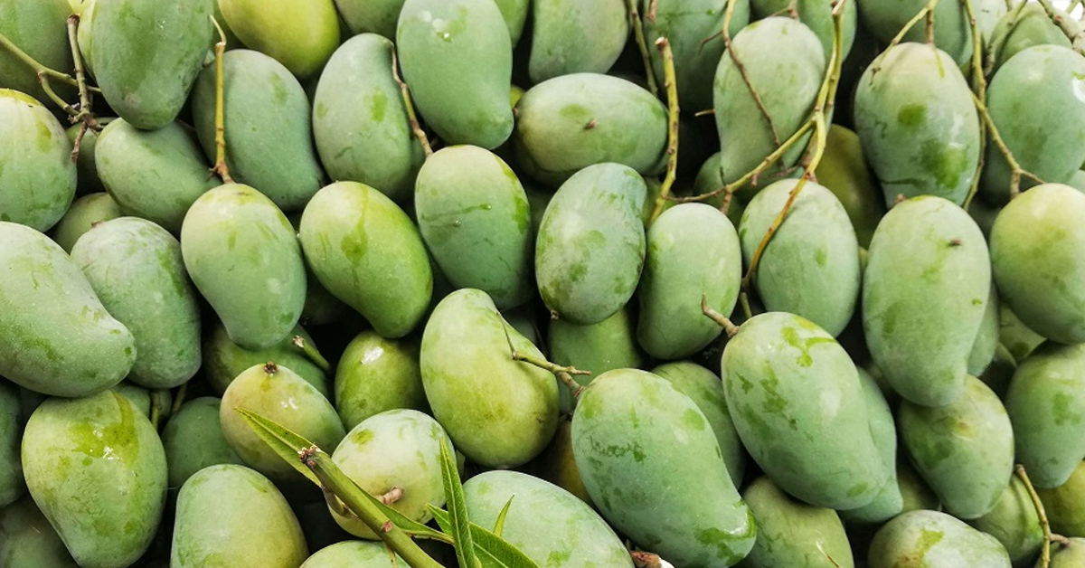 Amrapali Mango: The Sweet Symphony of Modern Mango