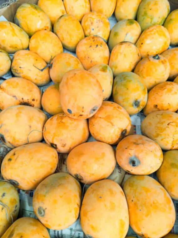 Himsagar 5 kg Package / 110 Per Kg - Image 4