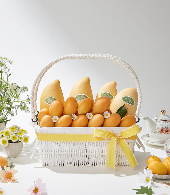 Festival Gift Packages Gift 165/kg